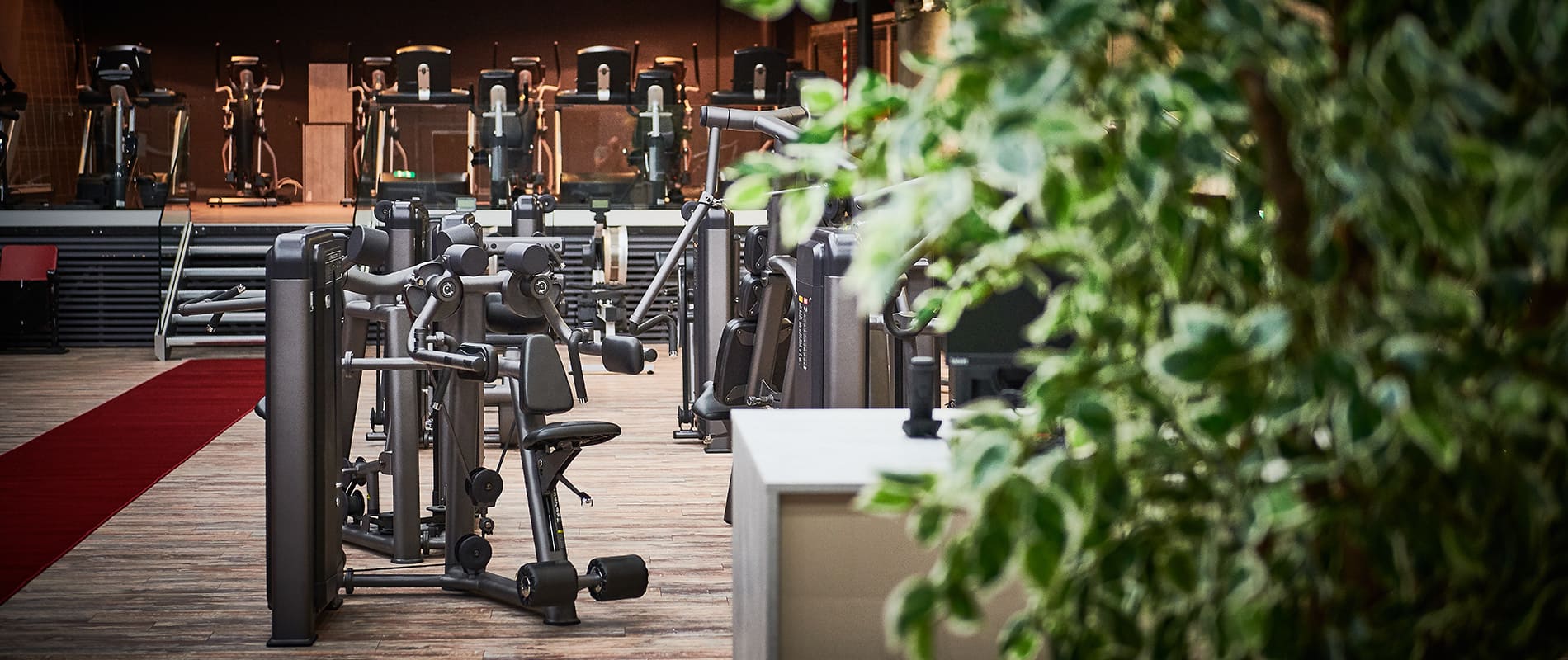 update Fitness Basel Gundeli / Bereich: Krafttraining